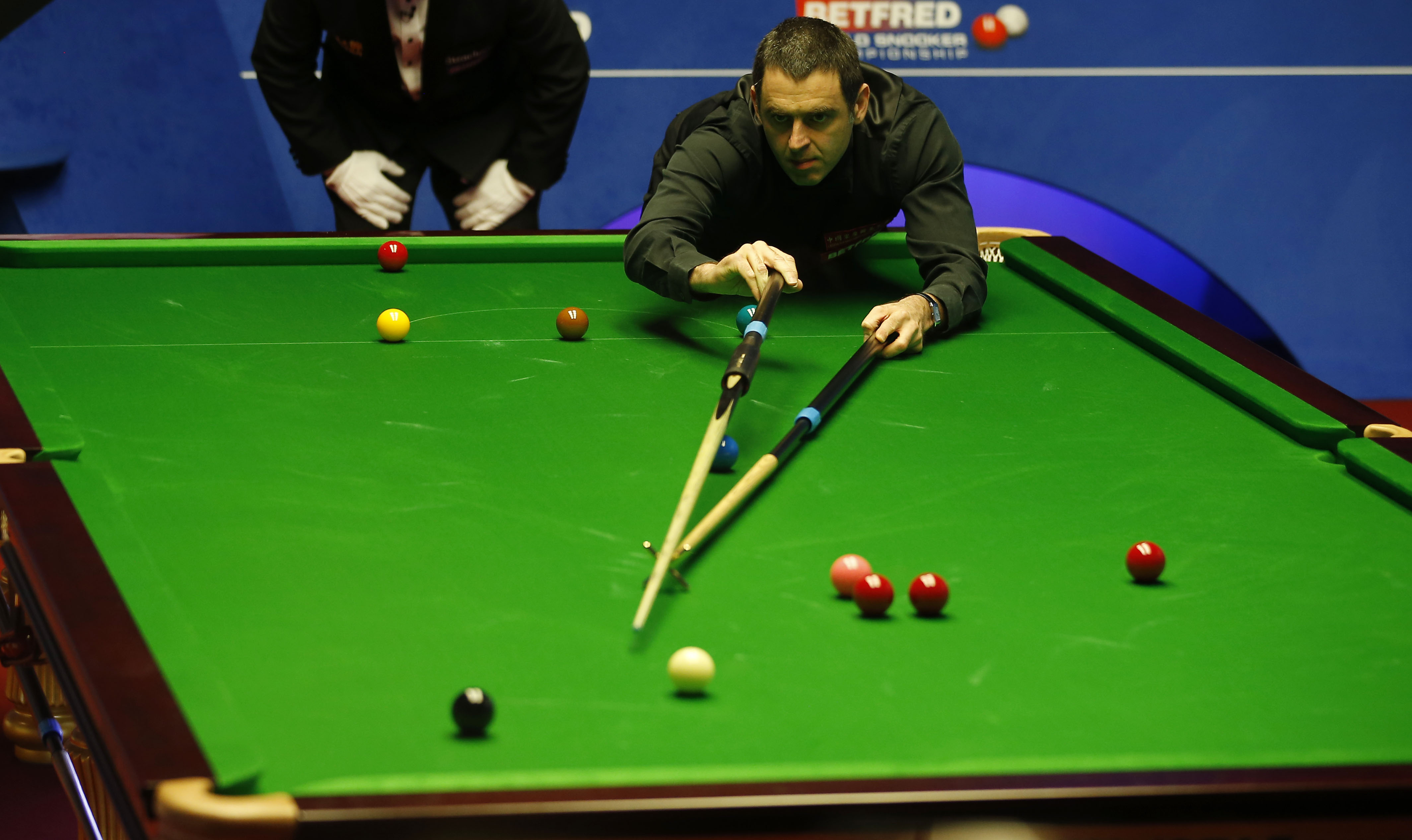 缘冠军的环 缘冠军的环